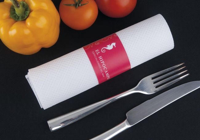 Rond de serviette papier 250 gr Mat pour restaurant brasserie pizzeria à Toulouse 31