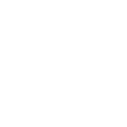 Accompagnement & conseil